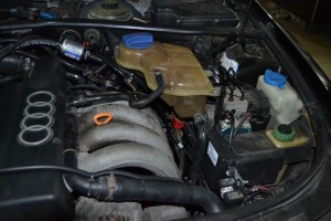 DSC 0037