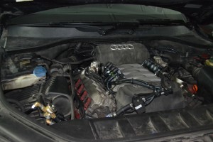 DSC 0065