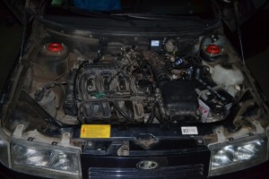 DSC 0306 